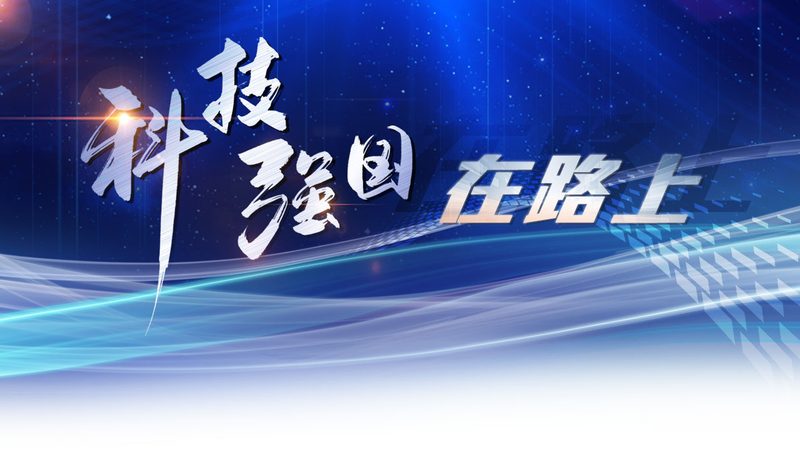 供应链管理培训与物流培训：本质区别与选择要点